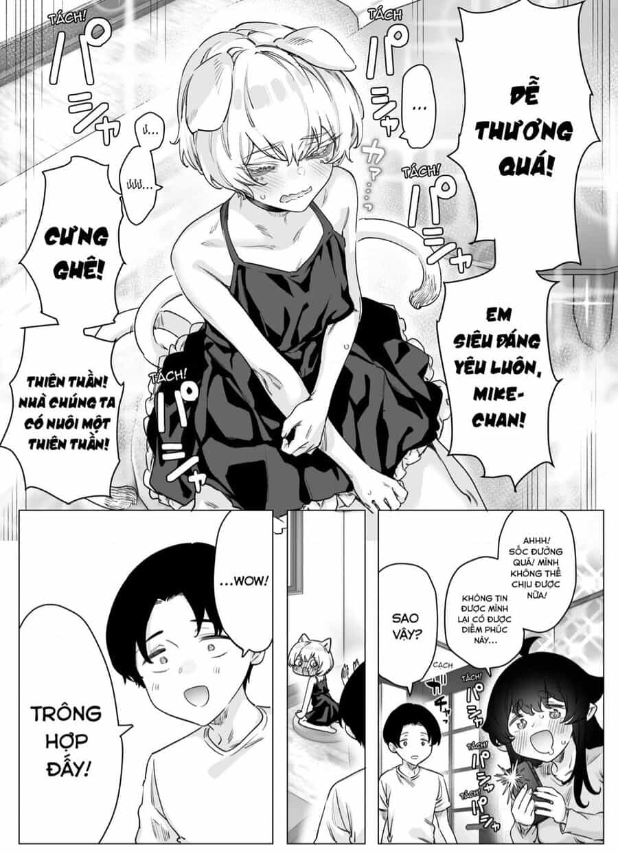 Cho Dù Cổ Không Ăn Lại Nữ Chính, Nhưng Bakeneko-Chan Vẫn Sẽ Cố Gắng - Chuong 4 - ảnh 3