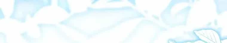 Chồng Ơi, Tại Sao Chúng Ta Không Thể Ly Hôn? - Chương 89 - ảnh 71