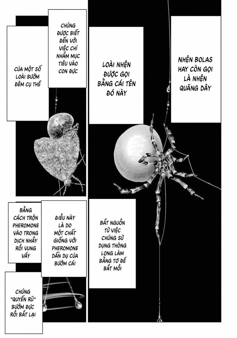 Choubu No Shinobi - Chương 15 - ảnh 21