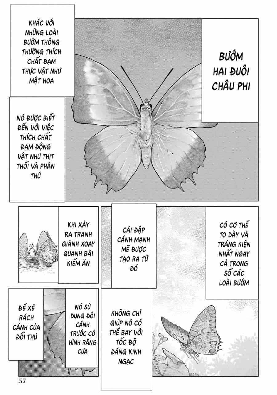 Choubu No Shinobi - Chương 22 - ảnh 9