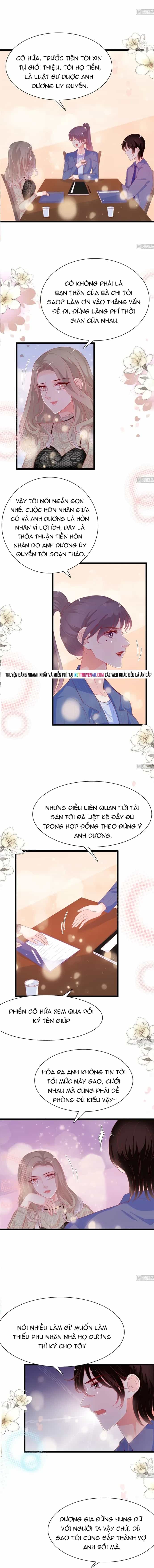 Chu Tiên Sinh, Ép Cưới Phạm Pháp Đó - Chương 179 - ảnh 3