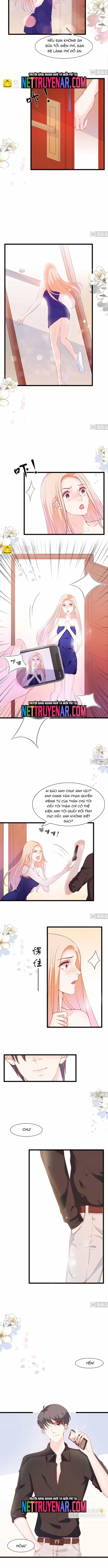 Chu Tiên Sinh, Ép Cưới Phạm Pháp Đó - Chương 78 - ảnh 4