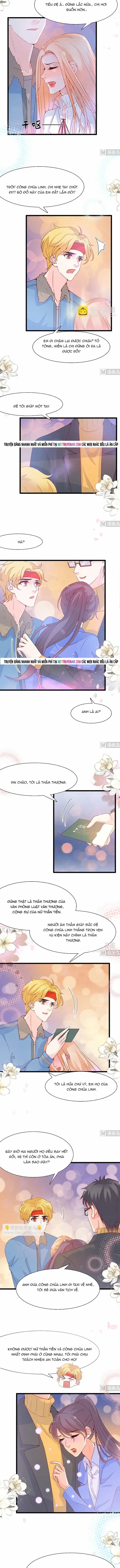 Chu Tiên Sinh, Ép Cưới Phạm Pháp Đó - Chương 94 - ảnh 4