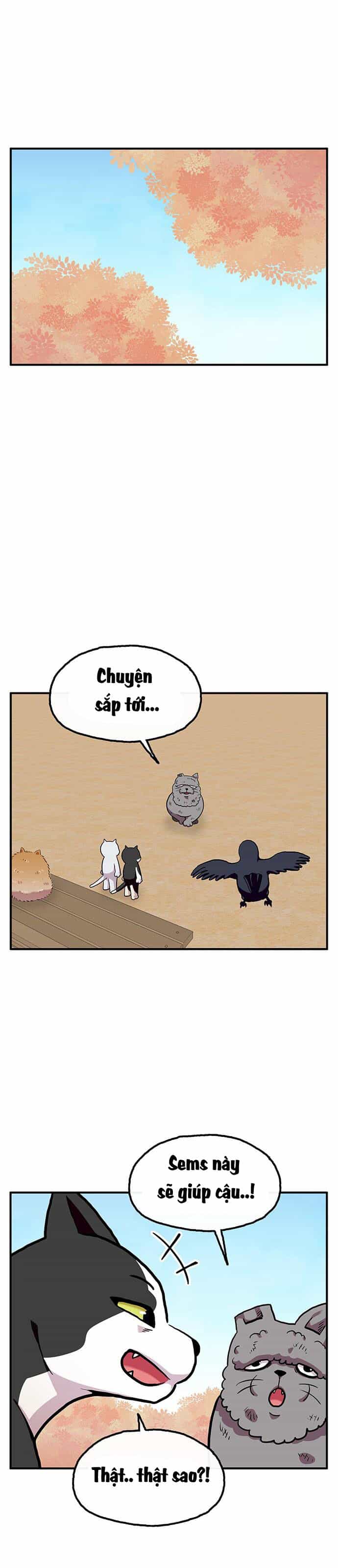 Chúa Tể Muôn Loài - Chương 26 - ảnh 14