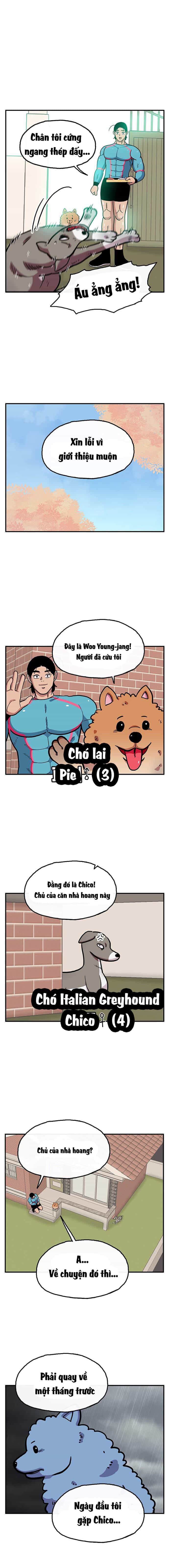 Chúa Tể Muôn Loài - Chương 30 - ảnh 9