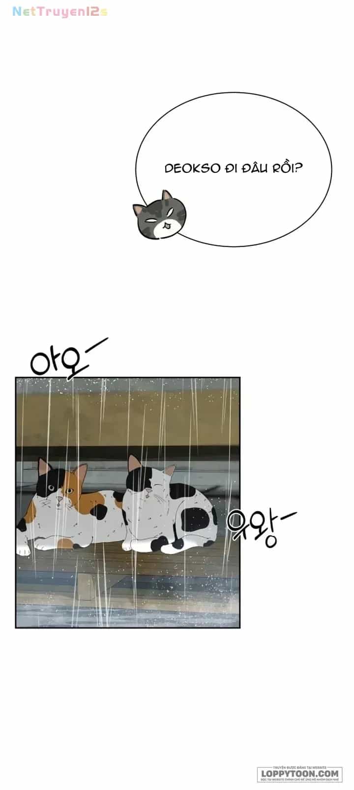 Chưa Từng Chạm Tới Em - Chương 19 - ảnh 14