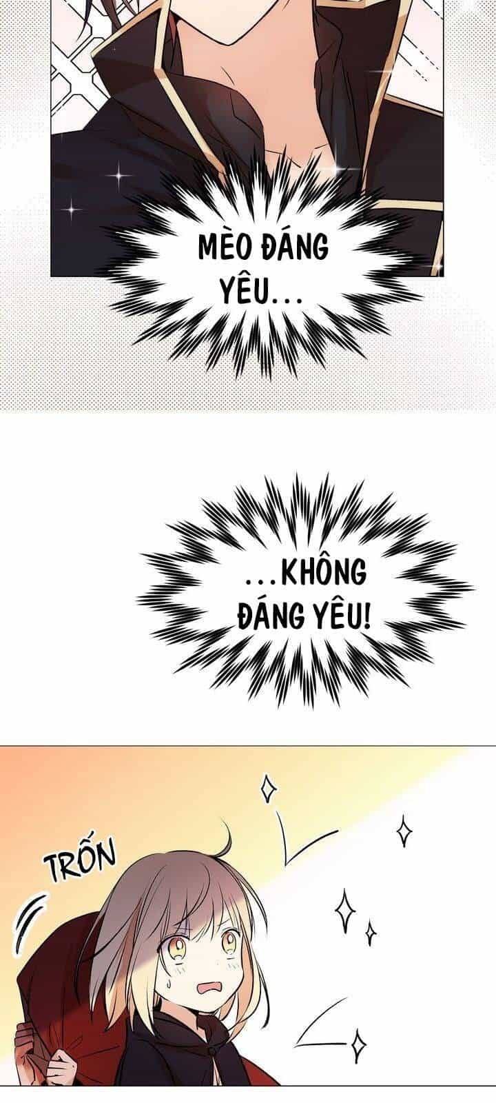 Cô Dâu Của Miêu Hoàng Tử - Chương 15 - ảnh 13