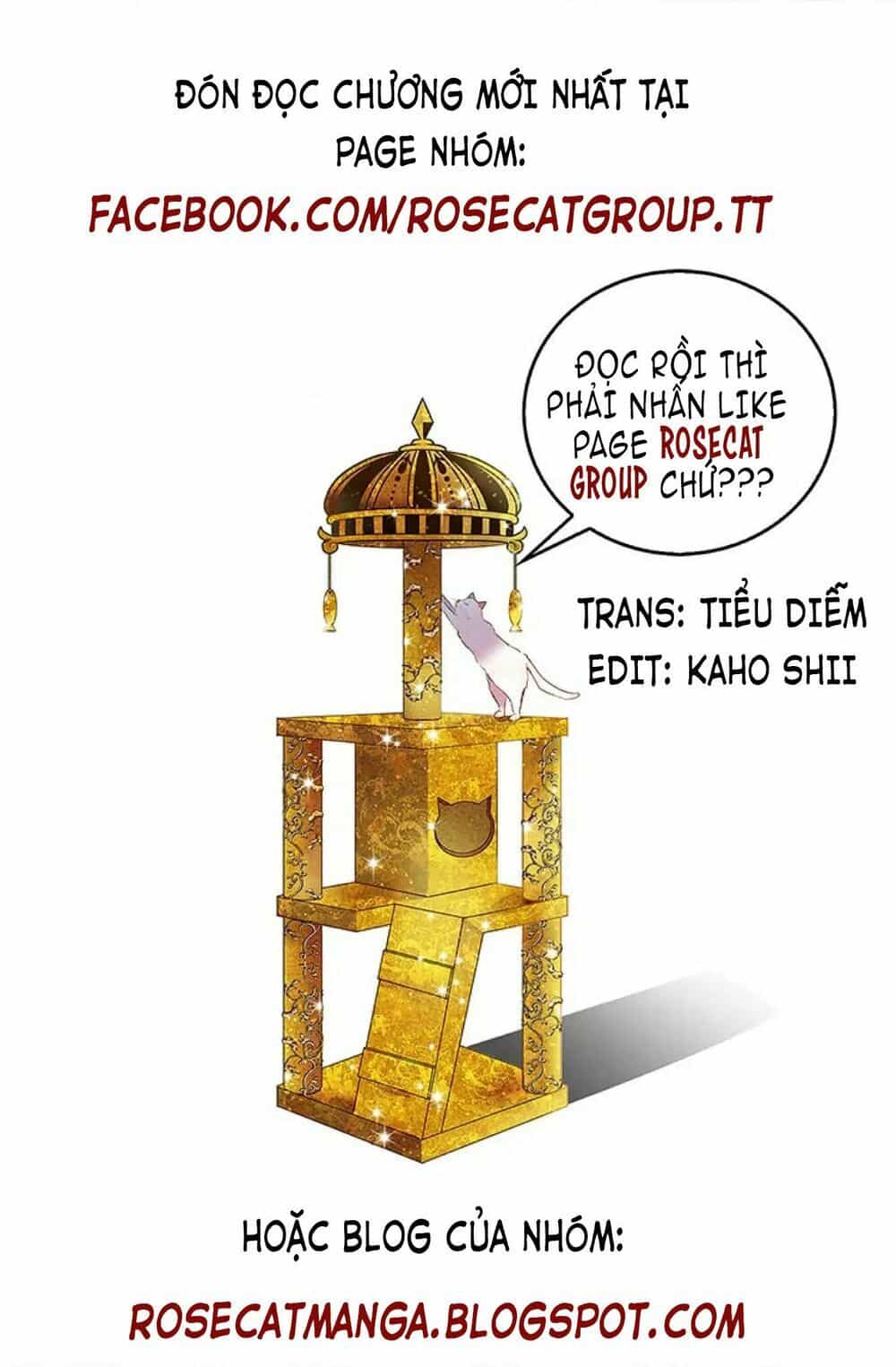 Cô Dâu Của Miêu Hoàng Tử - Chương 1 - ảnh 15