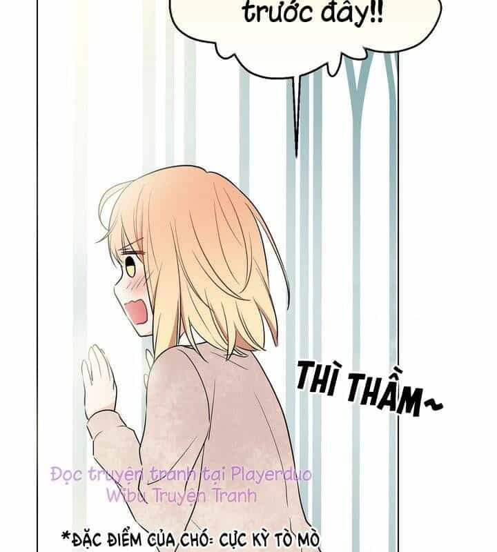 Cô Dâu Của Miêu Hoàng Tử - Chương 6 - ảnh 19