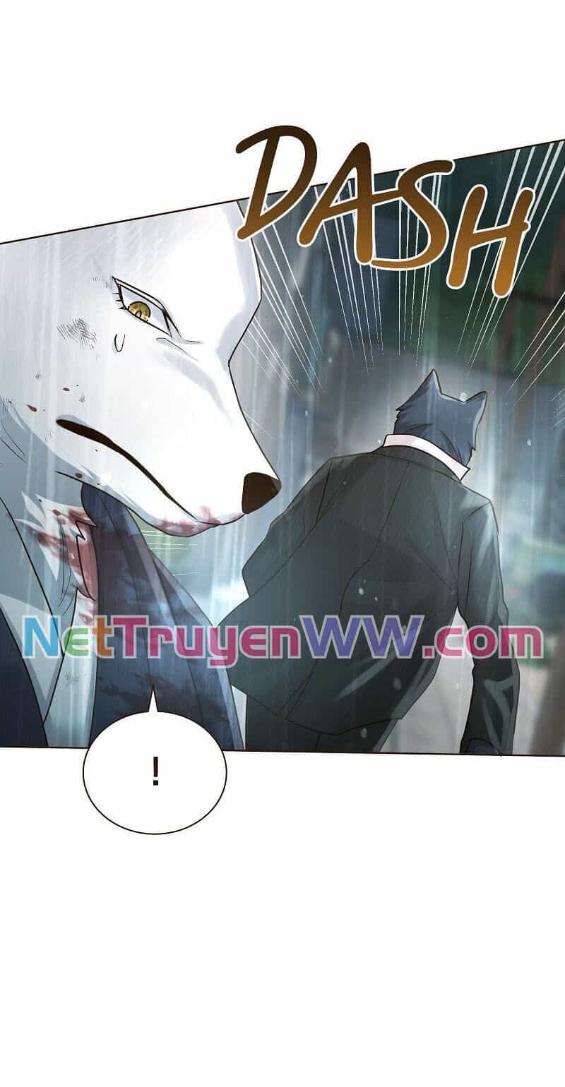 Cô Dâu Của Sói Trắng - Chương 41 - ảnh 43