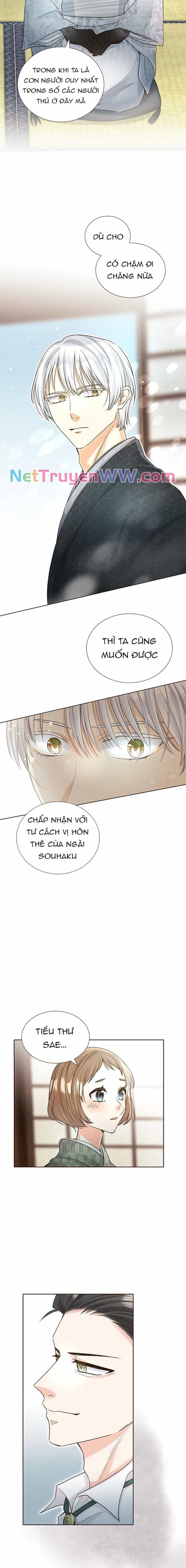 Cô Dâu Của Sói Trắng - Chương 9 - ảnh 6