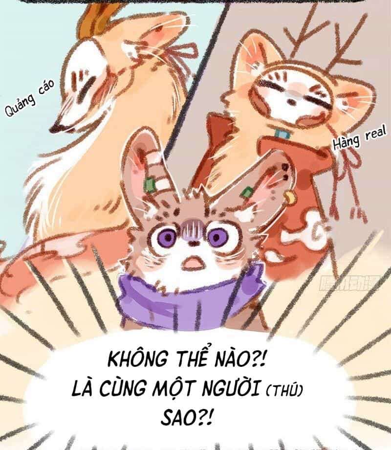 Có Linh Thú - Chương 10 - ảnh 9