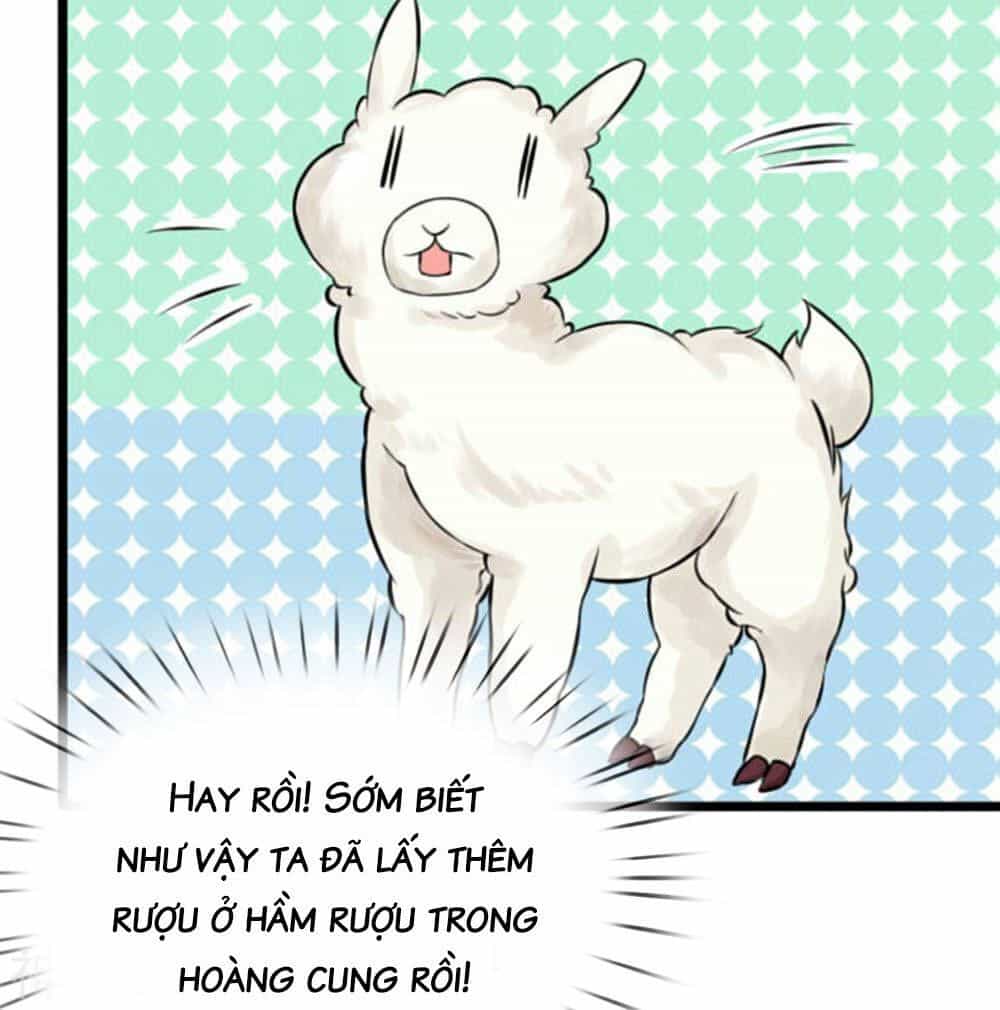 Cô Nương Xấu Xí Của Trẫm - Chương 23 - ảnh 12