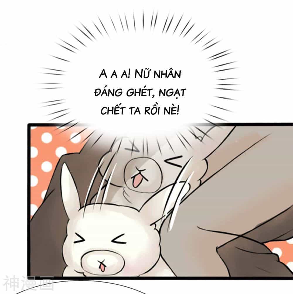 Cô Nương Xấu Xí Của Trẫm - Chương 25 - ảnh 4