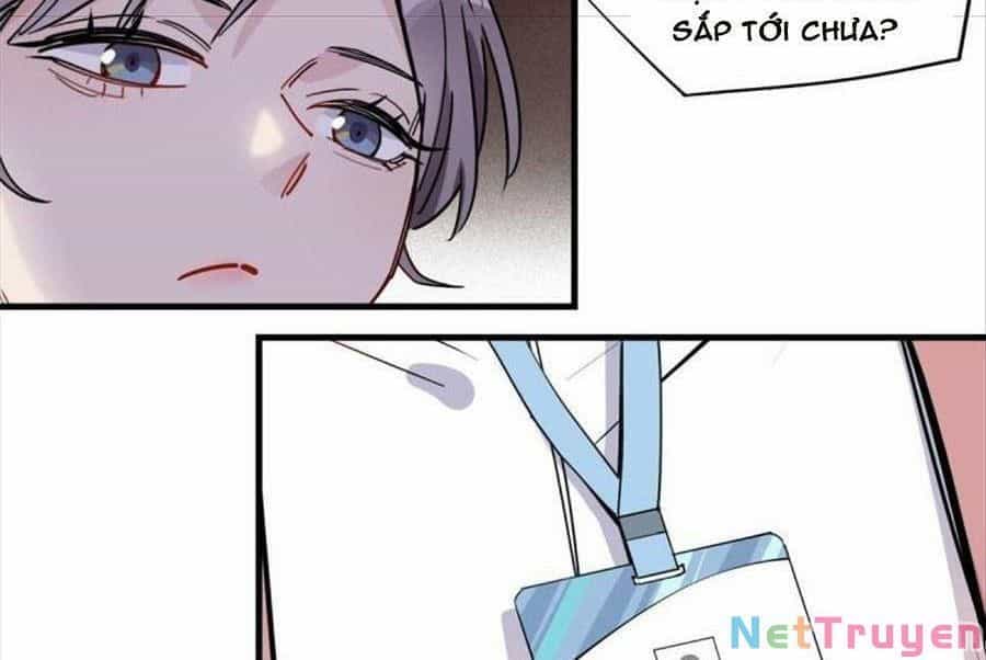 Cố Tổng, Vợ Của Ngài Quá Mạnh Rồi! - Chương 98 - ảnh 17