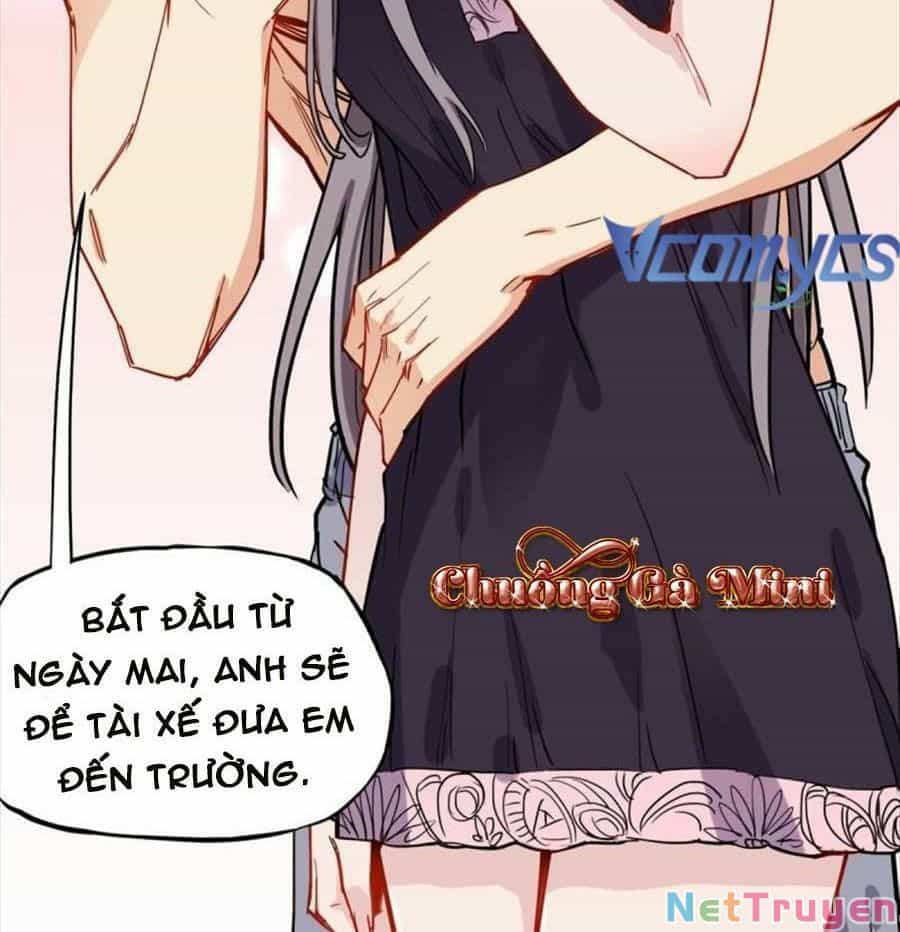 Cố Tổng, Vợ Của Ngài Quá Mạnh Rồi! - Chương 92 - ảnh 20