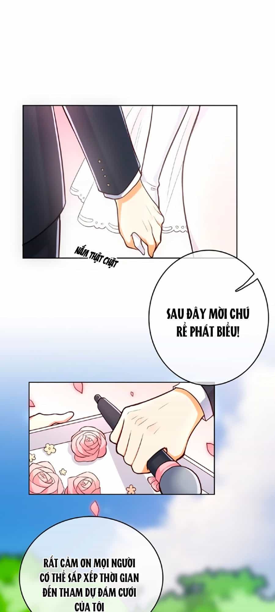 Cô Vợ Gả Thay Của Tổng Tài Cố Chấp - Chương 3 - ảnh 11