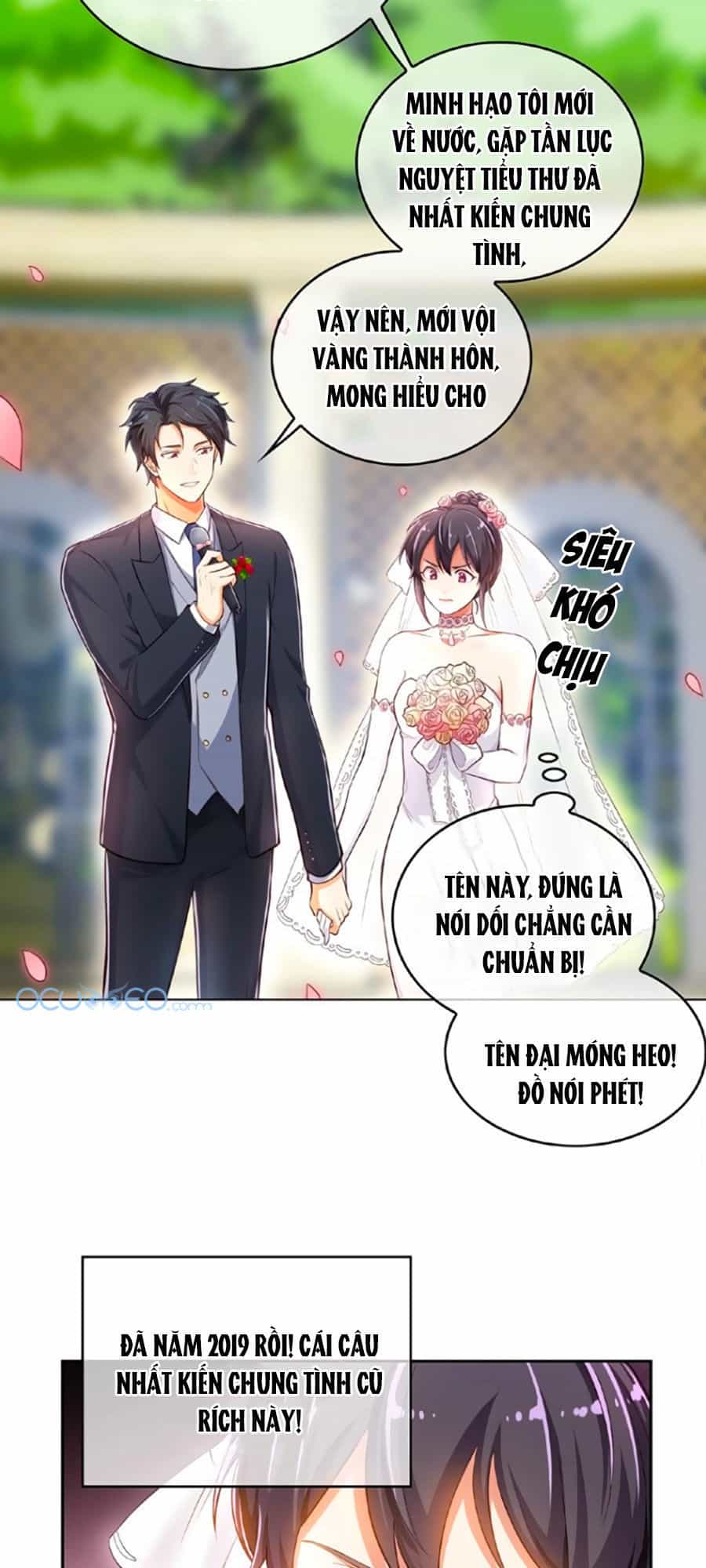 Cô Vợ Gả Thay Của Tổng Tài Cố Chấp - Chương 3 - ảnh 12