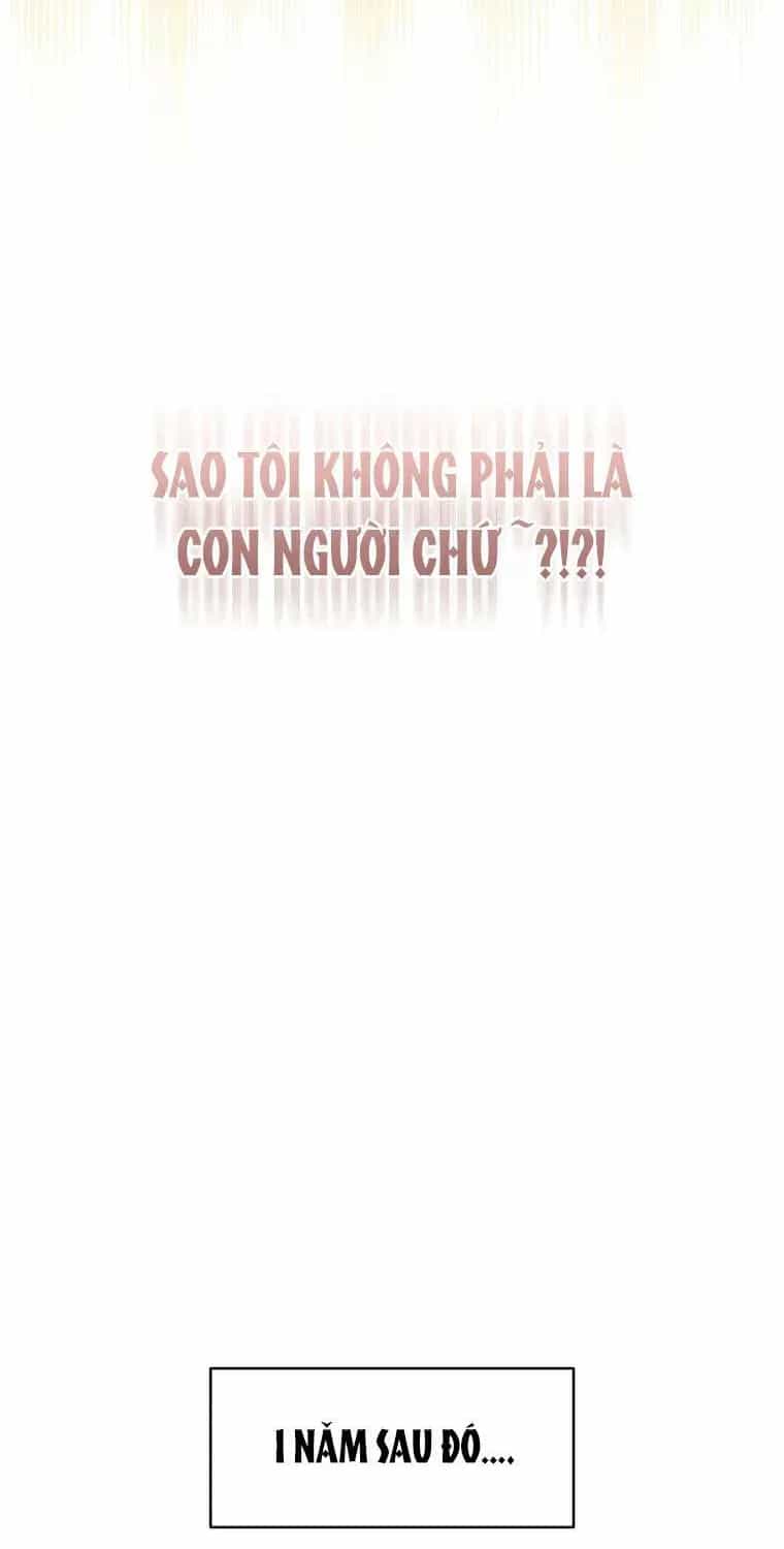 Con Dâu Của Kẻ Phản Diện Là Một Người Có Quyền Lực - Chương 0 - ảnh 19