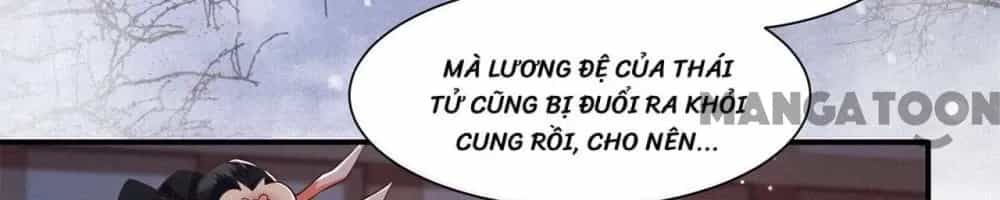 Con Đường Hoang Dã Của Vương Phi - Chương 115 - ảnh 42
