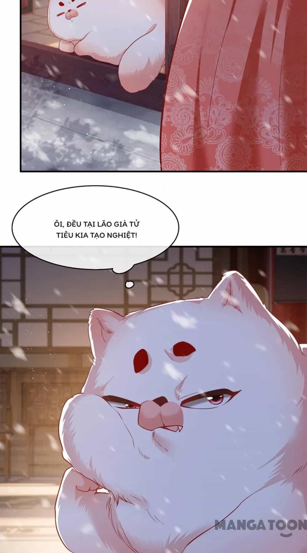 Con Đường Hoang Dã Của Vương Phi - Chương 115 - ảnh 61