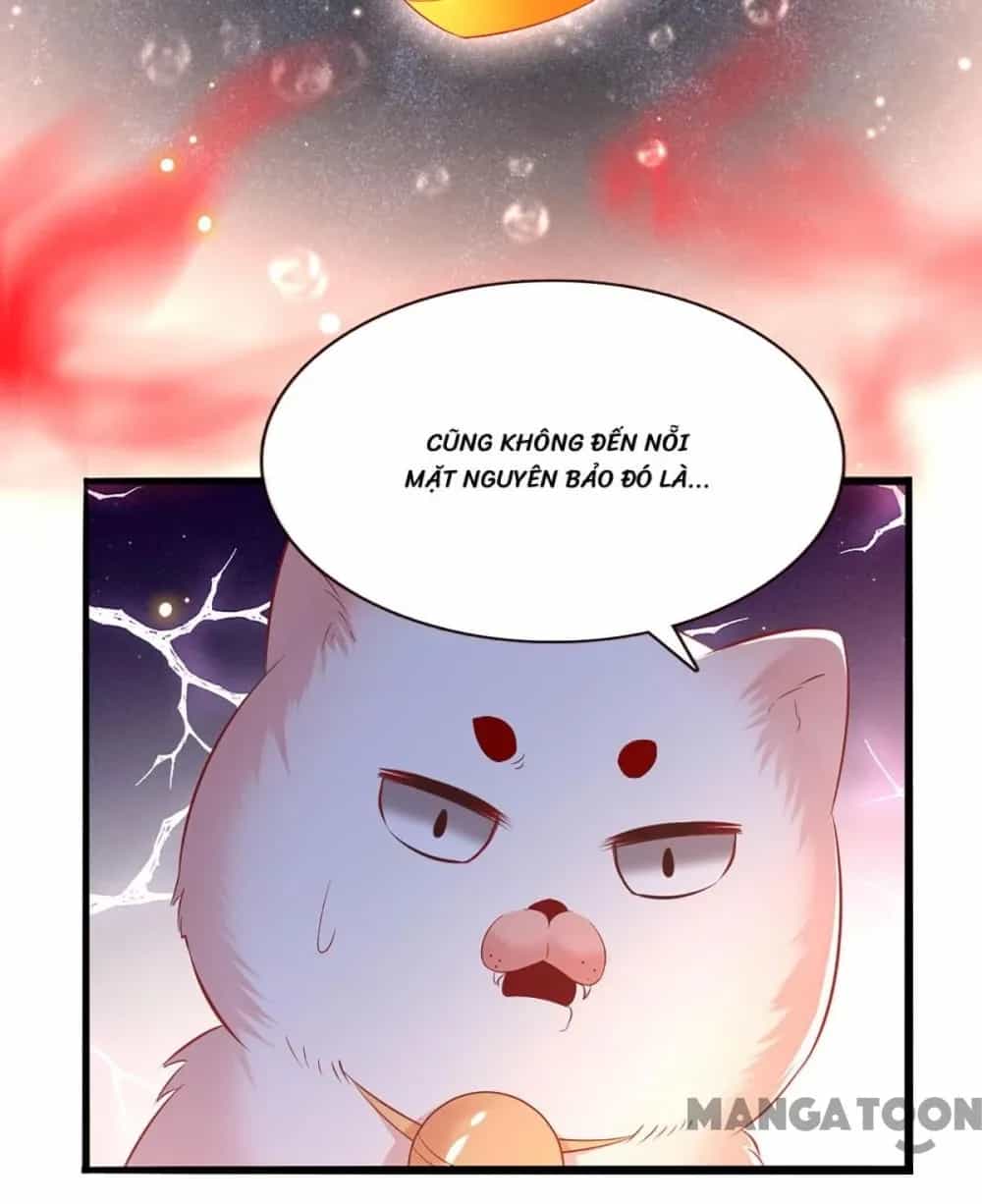 Con Đường Hoang Dã Của Vương Phi - Chương 117 - ảnh 25