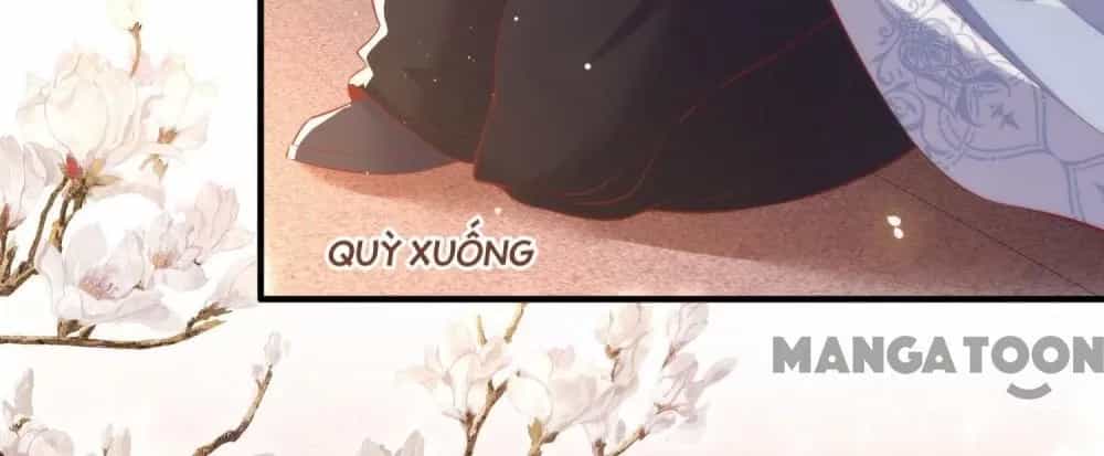 Con Đường Hoang Dã Của Vương Phi - Chương 126 - ảnh 40