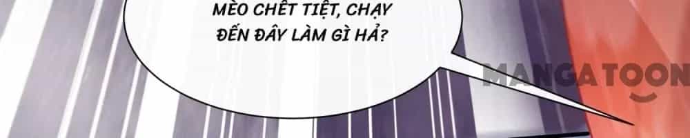 Con Đường Hoang Dã Của Vương Phi - Chương 129 - ảnh 24