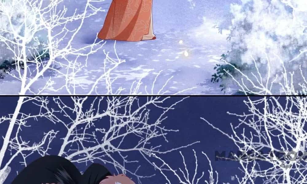 Con Đường Hoang Dã Của Vương Phi - Chương 138 - ảnh 12