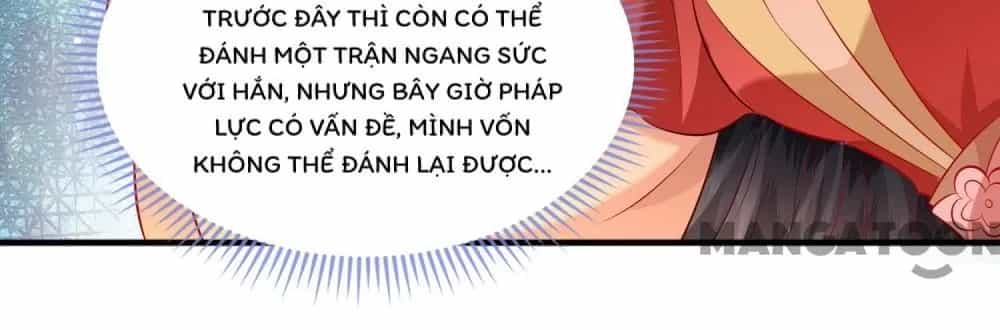 Con Đường Hoang Dã Của Vương Phi - Chương 169 - ảnh 24