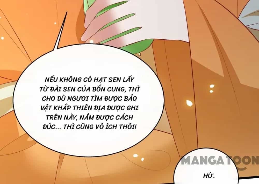 Con Đường Hoang Dã Của Vương Phi - Chương 171 - ảnh 27