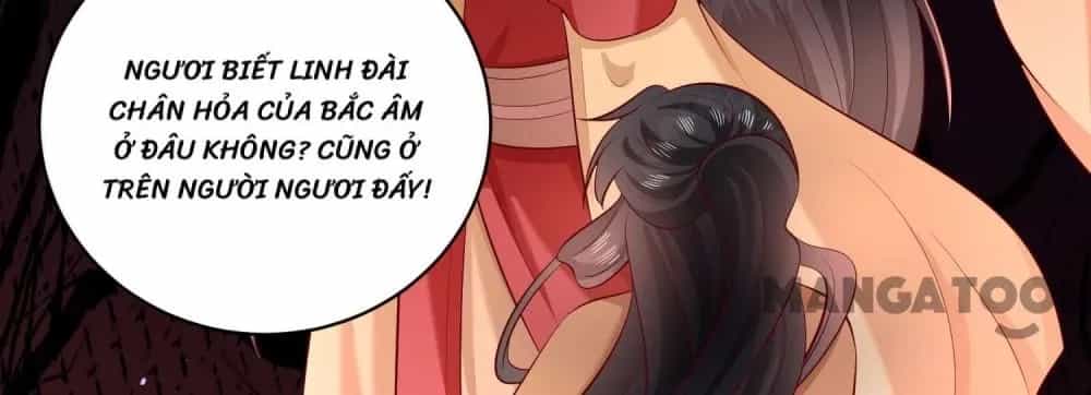 Con Đường Hoang Dã Của Vương Phi - Chương 173 - ảnh 8