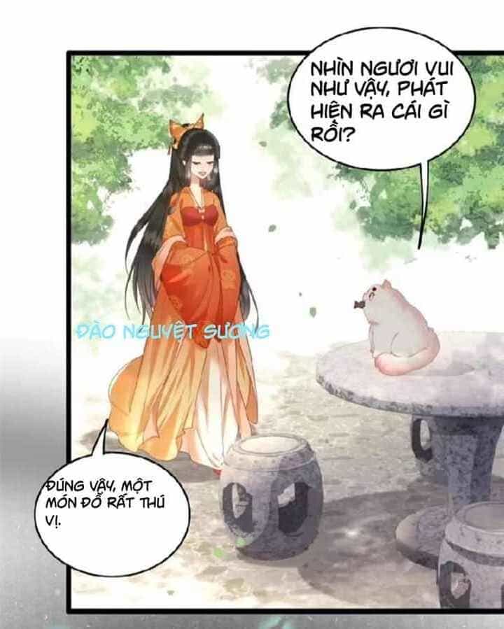 Con Đường Hoang Dã Của Vương Phi - Chương 20 - ảnh 15
