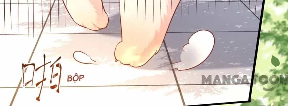 Con Đường Hoang Dã Của Vương Phi - Chương 69 - ảnh 14