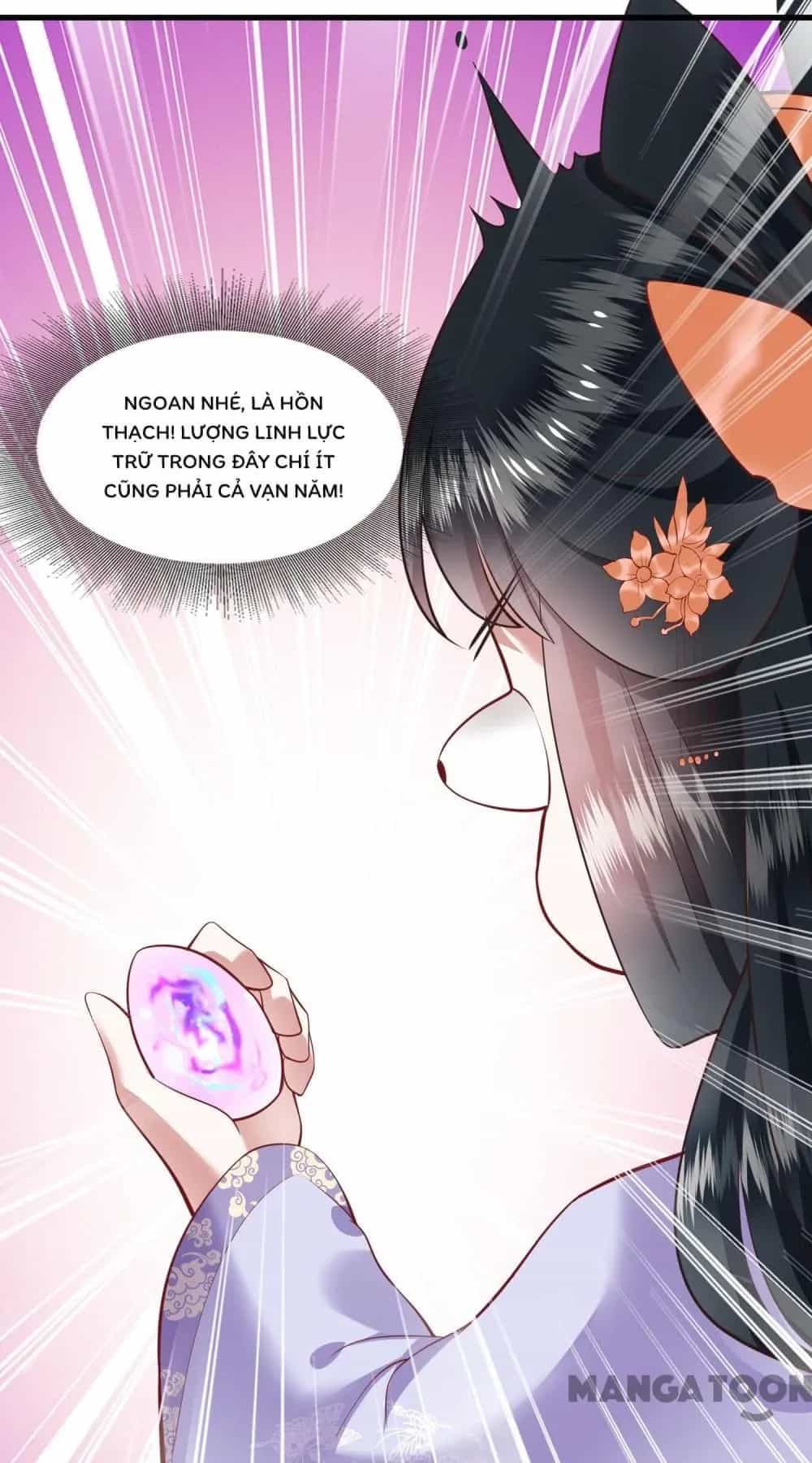 Con Đường Hoang Dã Của Vương Phi - Chương 74 - ảnh 22
