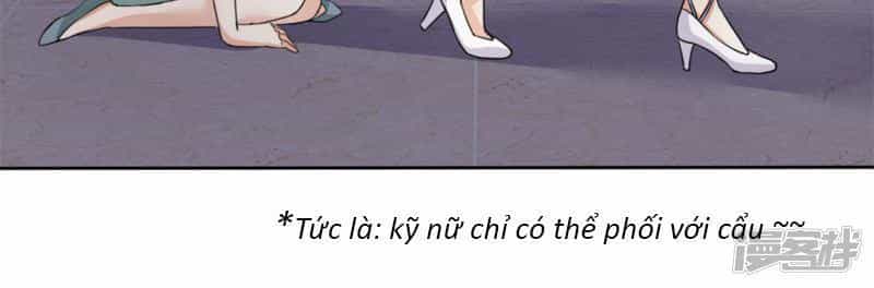Con Đường Phản Công Của Sủng Thê - Chương 3 - ảnh 22