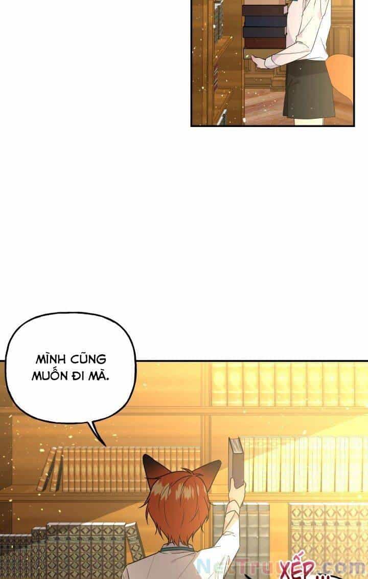 Con Gái Của Đại Pháp Sư - Chương 56 - ảnh 15