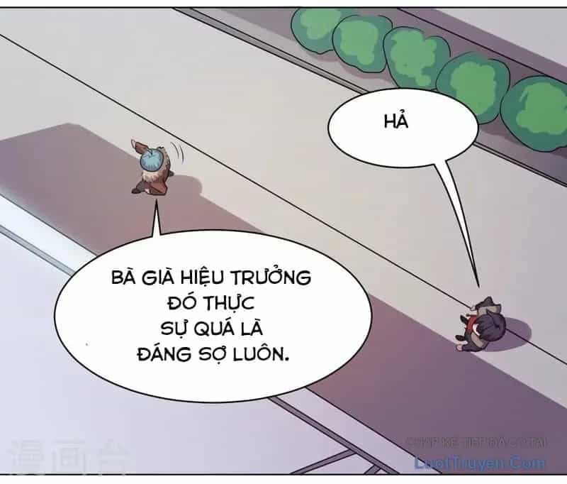 Con Rể Của Các Vị Thần - Chương 32 - ảnh 25