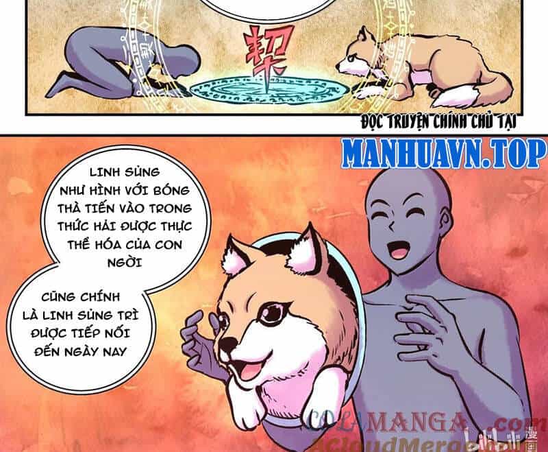 Côn Thôn Thiên Hạ - Chương 314 - ảnh 25