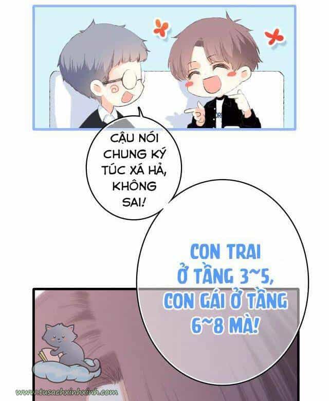Con Tim Rung Động - Chương 73 - ảnh 11