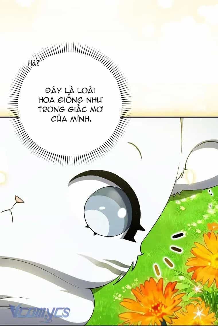 Công Chúa Bạch Hổ Không Có Nguy Hiểm Nha! - Chương 6 - ảnh 63