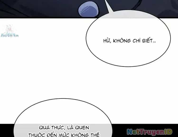Công Chúa Củi Mục Khởi Động Lại Nhân Sinh - Chương 36 - ảnh 11