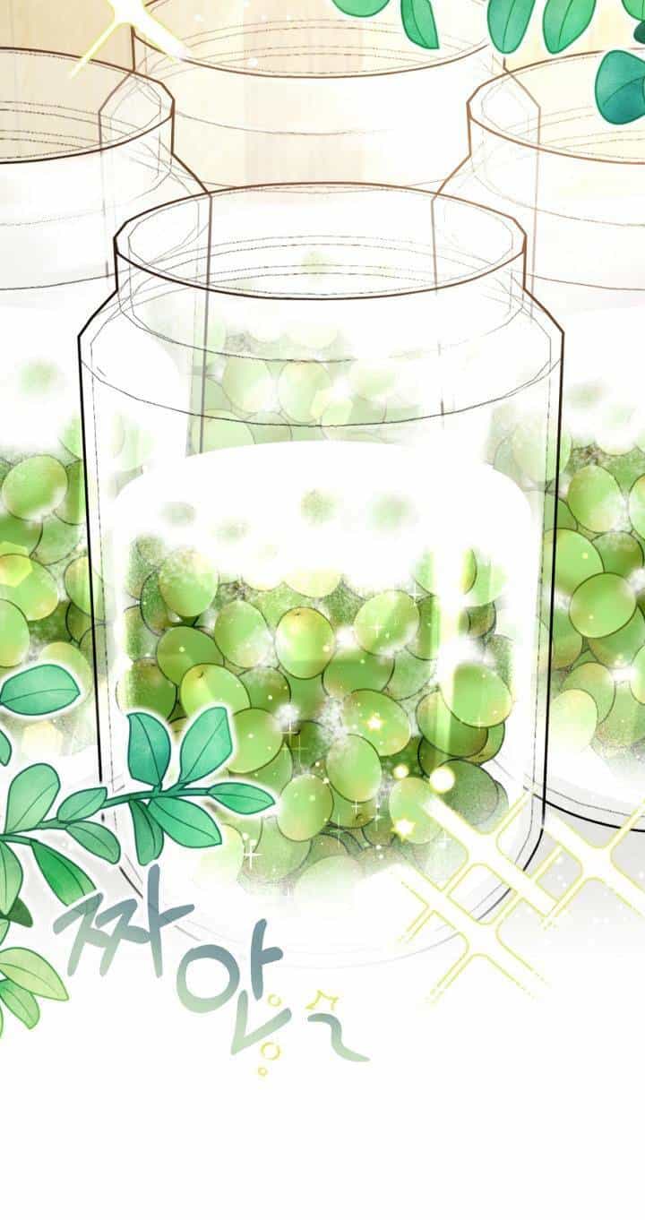Công Chúa Dược Sĩ Bé Con - Chương 11 - ảnh 28