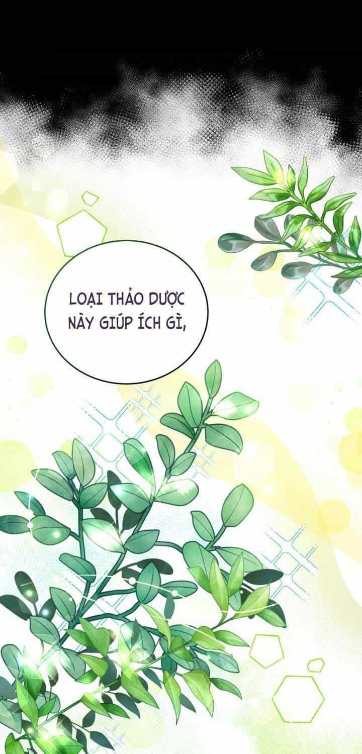 Công Chúa Dược Sĩ Bé Con - Chương 6 - ảnh 24