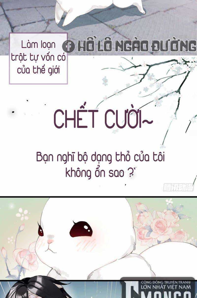 Công Chúa Pháo Hôi Muốn Tùy Tiện Đến Cùng - Chương 26 - ảnh 4