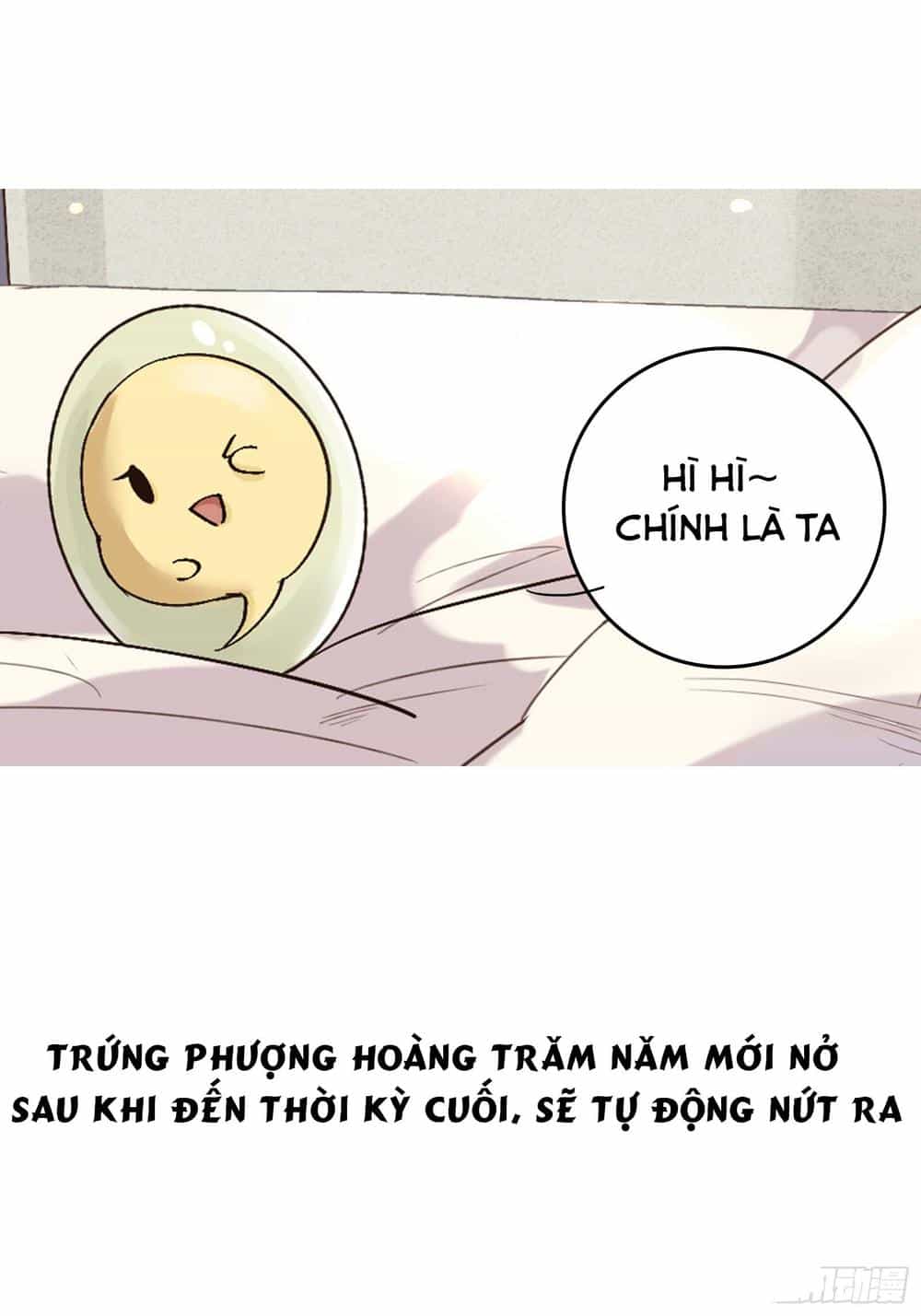 Công Tử Ngươi Dám Ném Trứng - Chương 0 - ảnh 7