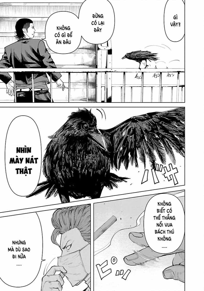 Crows Zero Reboot - Chuong 6 - ảnh 22