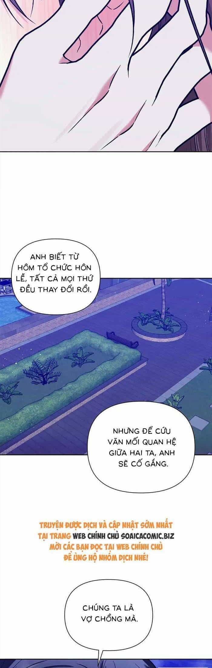 Cua Lại Vợ Yêu - Chương 15 - ảnh 2