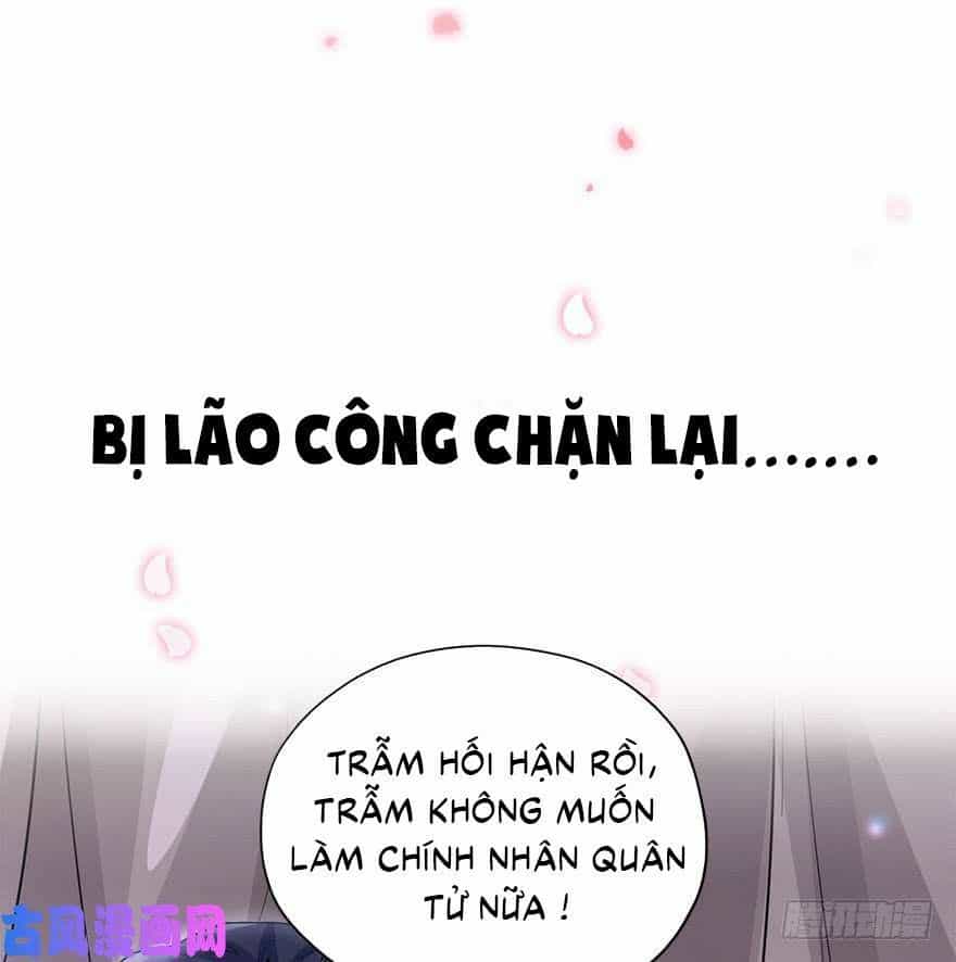 Cung Đấu Live - Chương 0 - ảnh 28