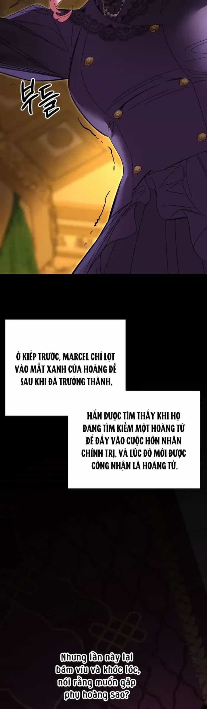 Cuộc Hôn Nhân Bị Bắt Cóc Xuyên Thời Gian Của Hoàng Hậu - Chương 55 - ảnh 36